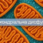 Відео: Мітохондріальна дисфункція